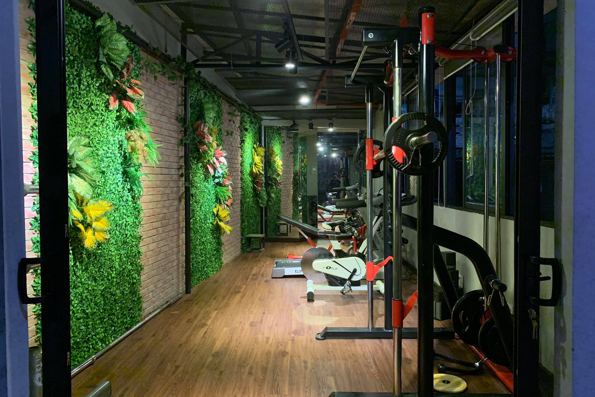 Phong GYM